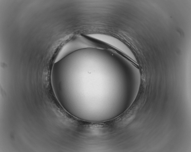 X0000090920462200708061546