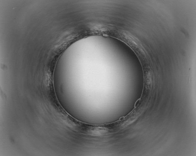 X0000090920463200708061546