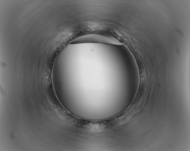 X0000090920464200708061546