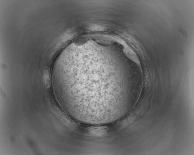 X0000090920465200708061546