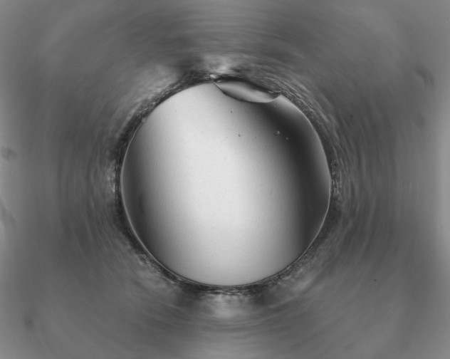 X0000090920466200708061546