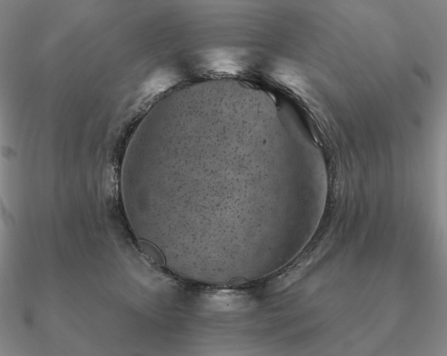 X0000090920467200708061546