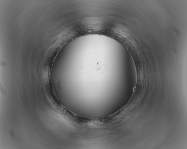 X0000090920468200708061546