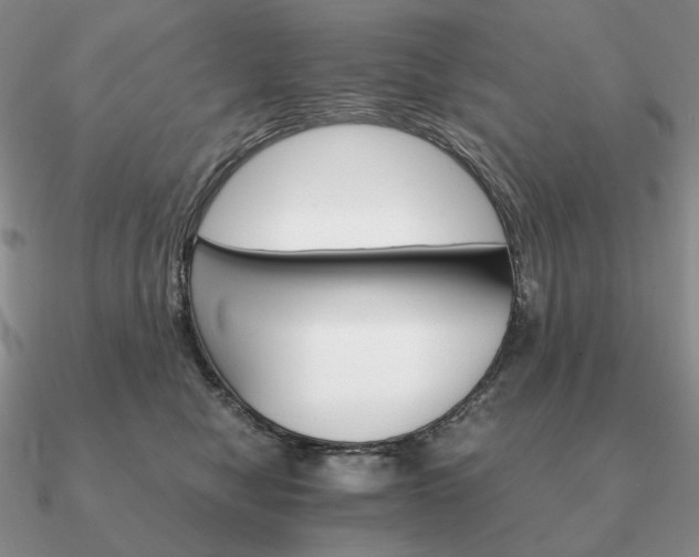 X0000090920470200708061546