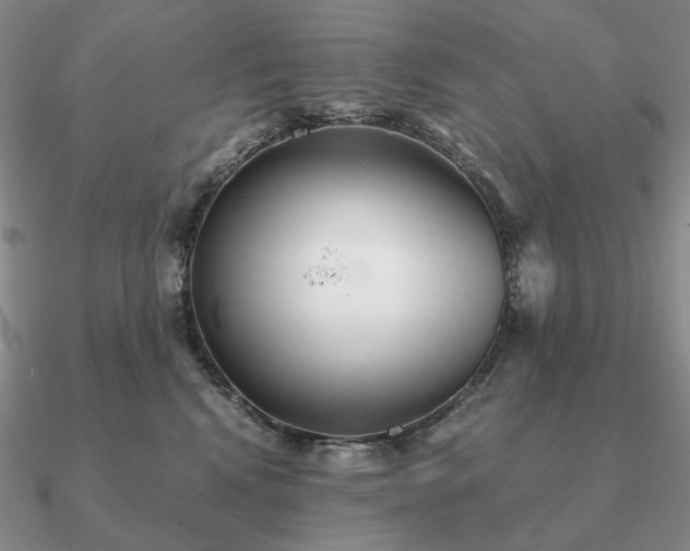 X0000090920472200708061546