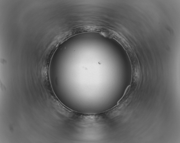 X0000090920473200708061546