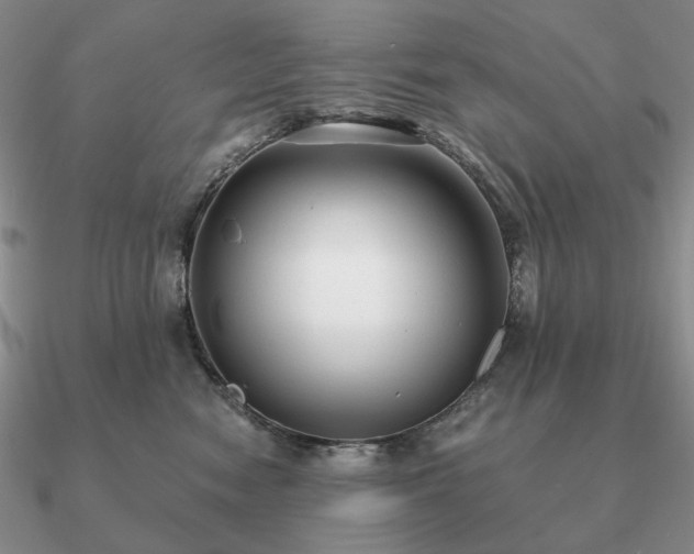 X0000090920474200708061546