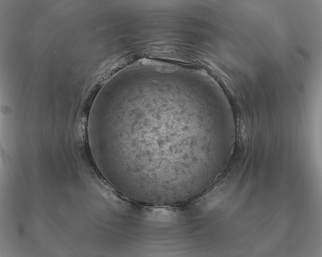 X0000090920475200708061546