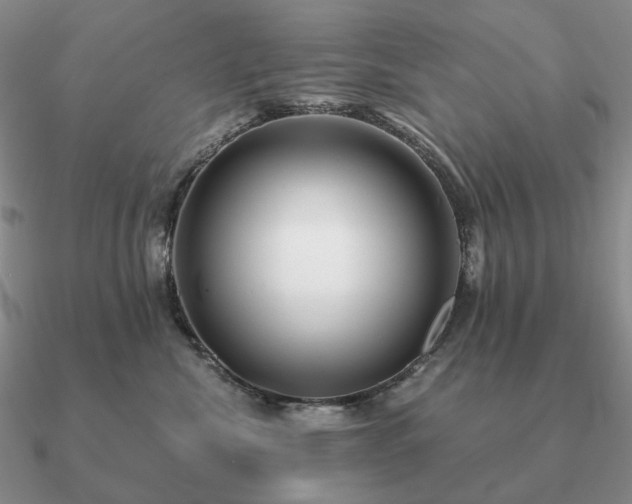 X0000090920476200708061546