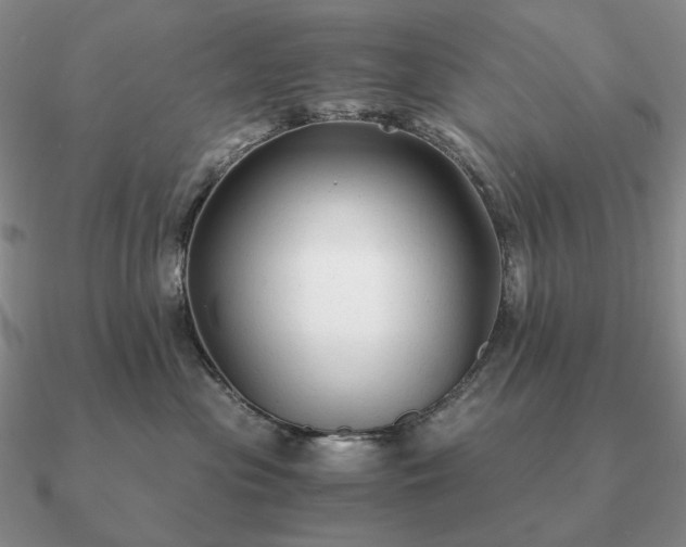 X0000090920477200708061546