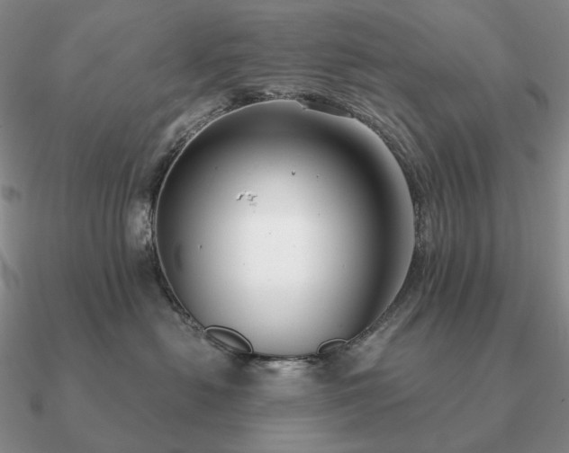 X0000090920478200708061546