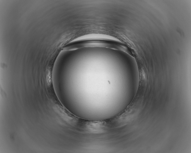 X0000090920479200708061546