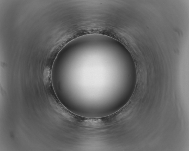 X0000090920480200708061546