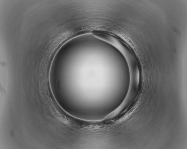 X0000090920481200708061546