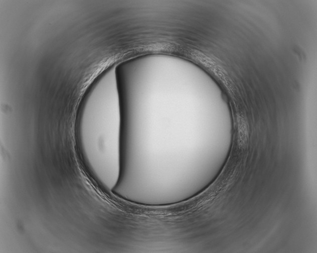 X0000090920482200708061546