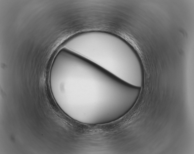 X0000090920483200708061546