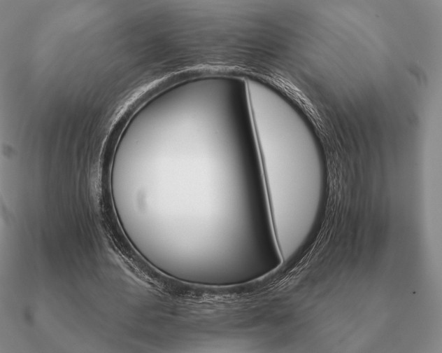 X0000090920484200708061546