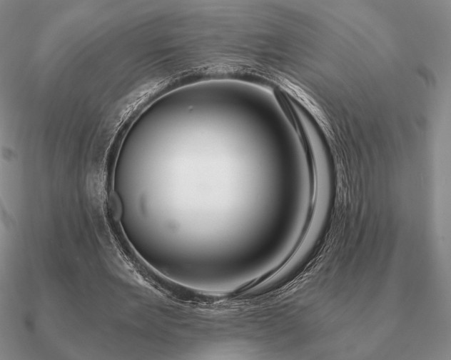 X0000090920485200708061546