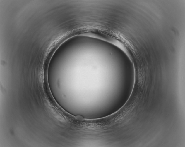 X0000090920486200708061546