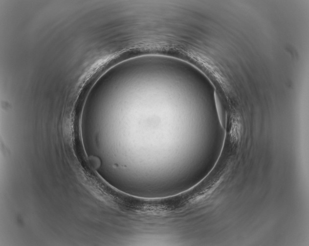 X0000090920487200708061546