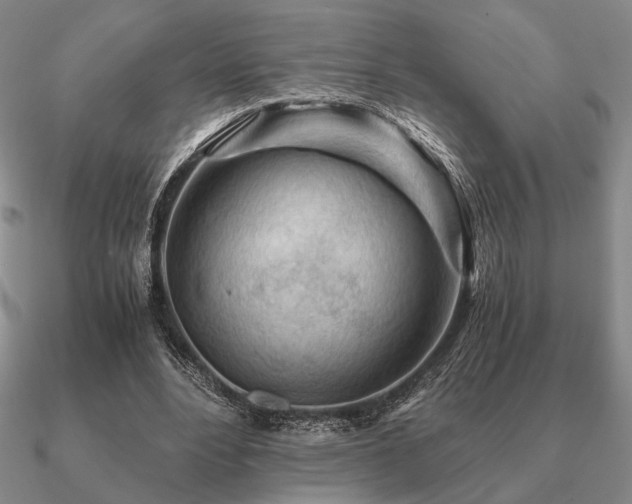 X0000090920488200708061546