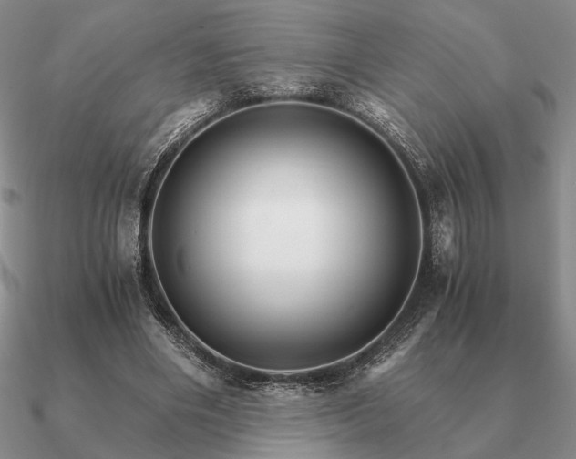 X0000090920490200708061546