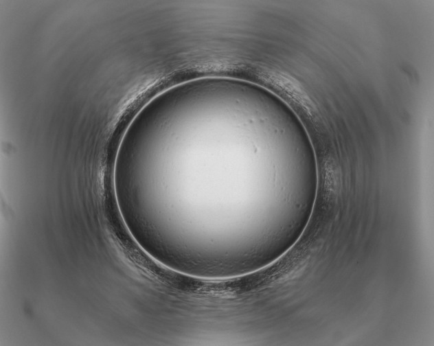 X0000090920491200708061546