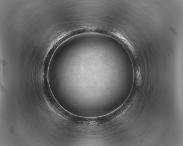 X0000090920492200708061546