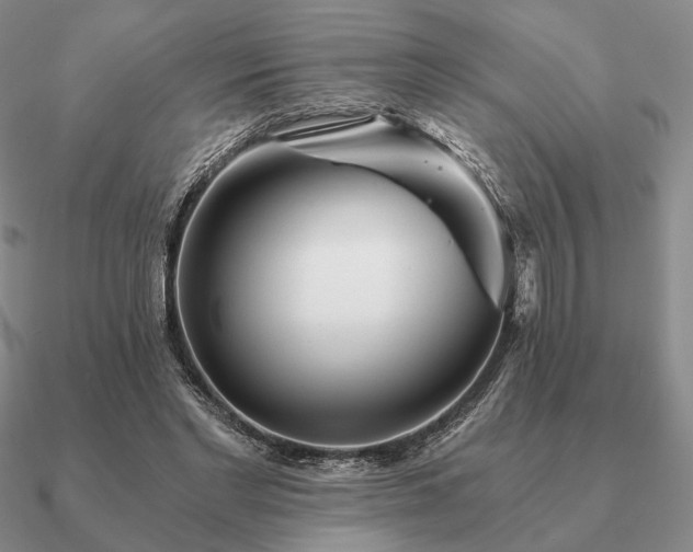 X0000090920493200708061546