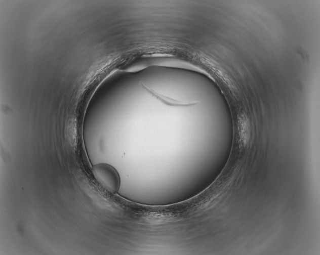 X0000090920494200708061545