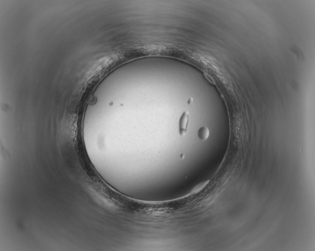 X0000090920495200708061545