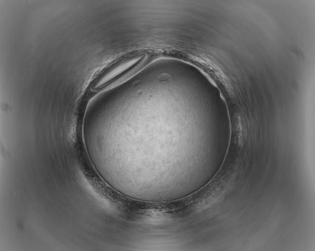 X0000090920496200708061545