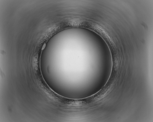 X0000090920497200708061545