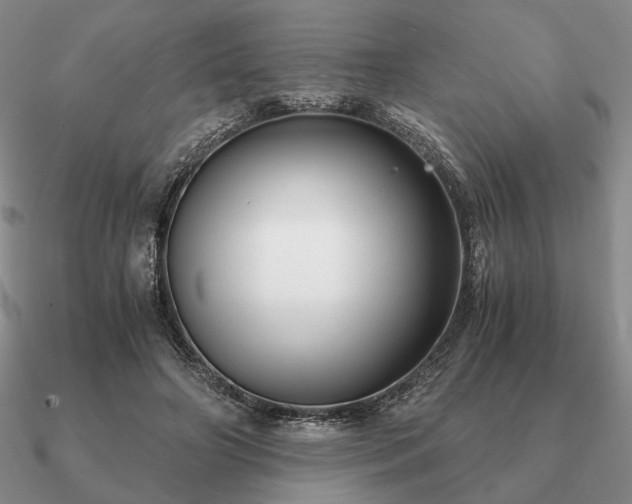 X0000090920498200708061545