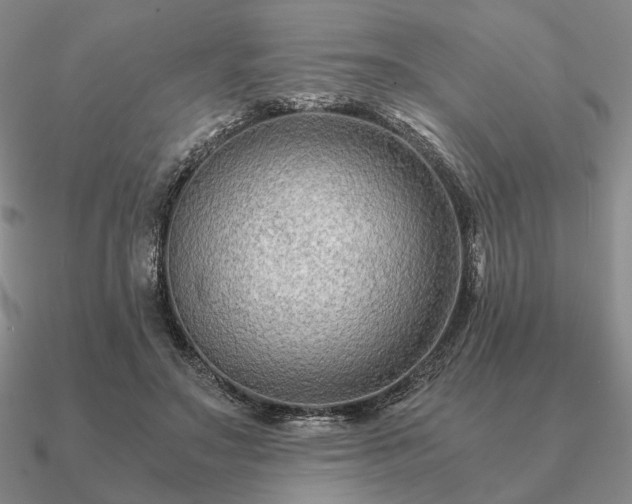 X0000090920499200708061545