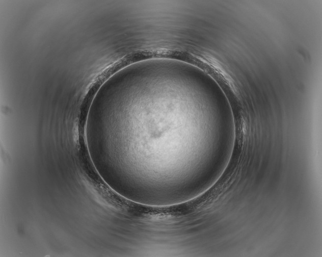 X0000090920500200708061545