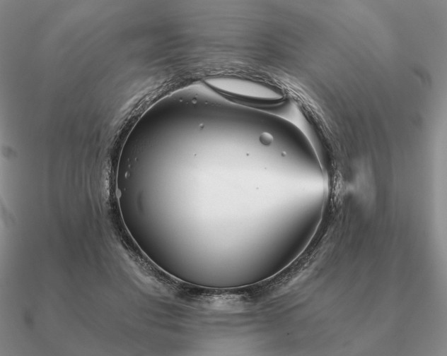 X0000090920501200708061545