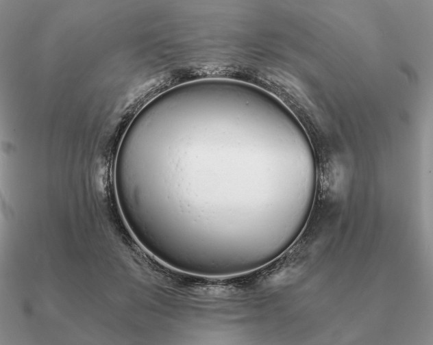 X0000090920503200708061545