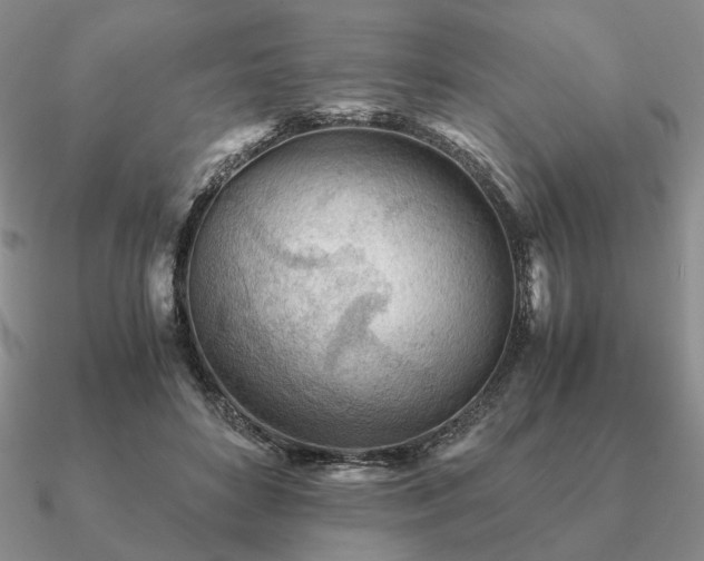 X0000090920504200708061545