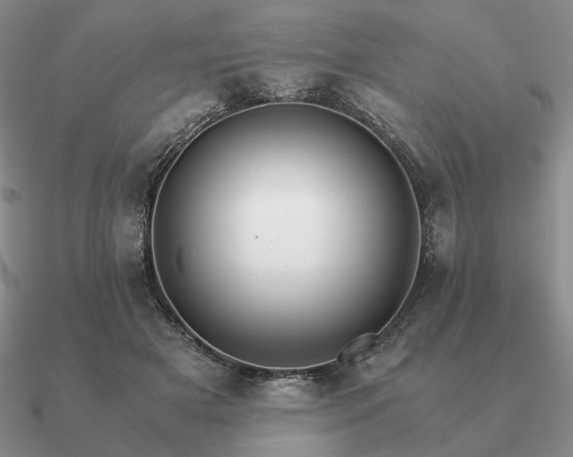 X0000090920505200708061545