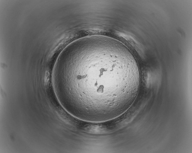 X0000090920507200708061545