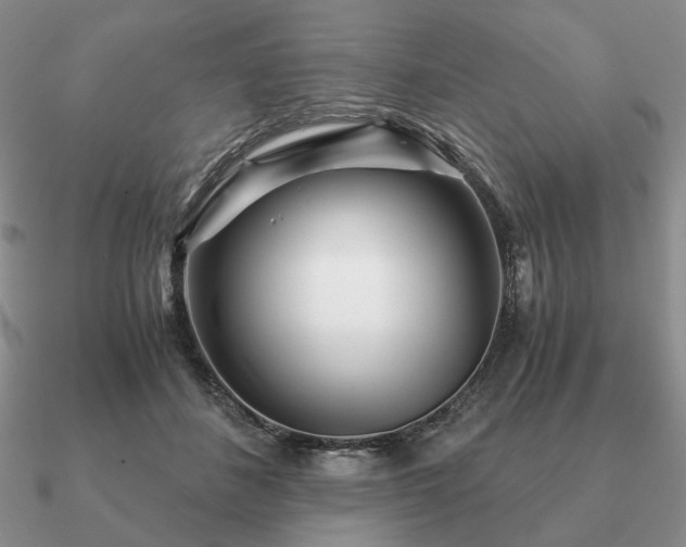 X0000090920508200708061545