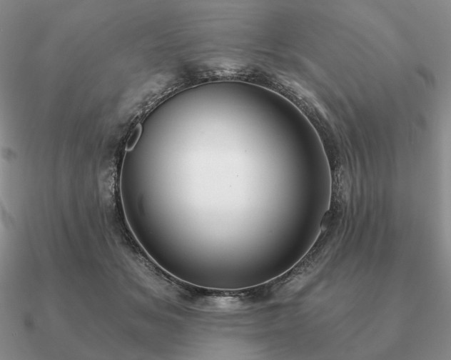 X0000090920509200708061545