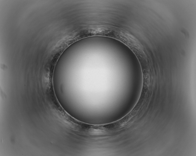 X0000090920510200708061545