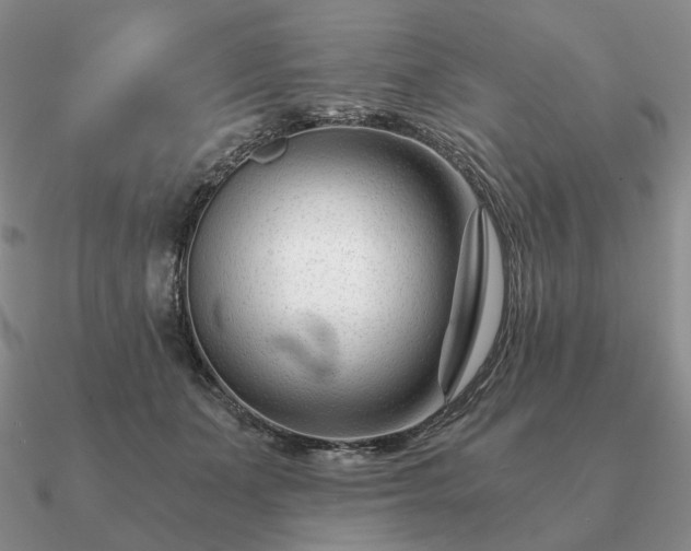 X0000090920511200708061545