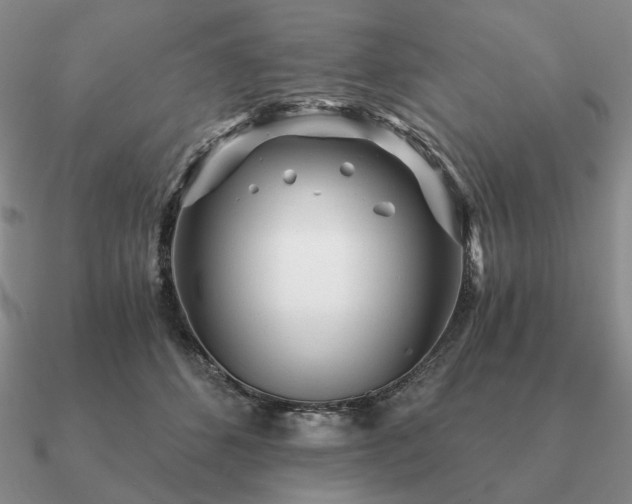 X0000090920512200708061545