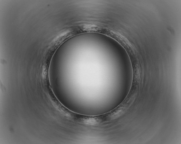 X0000090920513200708061545