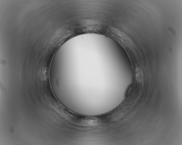 X0000090920514200708061545