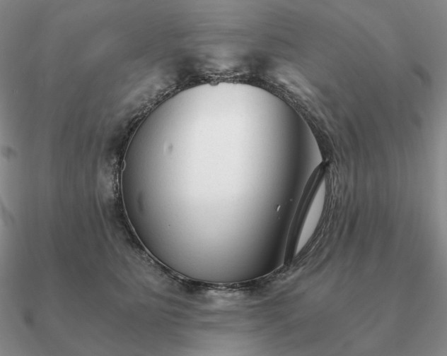 X0000090920515200708061545