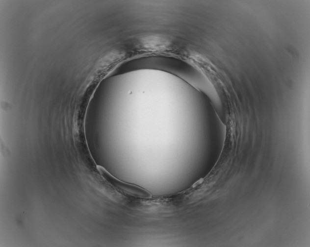 X0000090920516200708061545